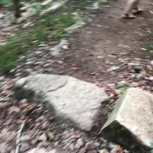 Video by skylarshark published on July 31,2023 00:56:00 - BestThots