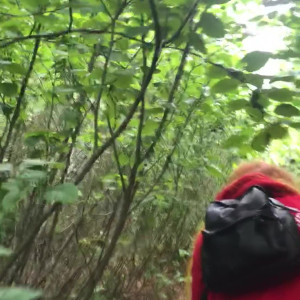 Video by skylarshark published on March 7,2023 06:08:00 - BestThots