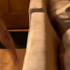 Video by skylarshark published on August 6,2023 09:15:00 - BestThots