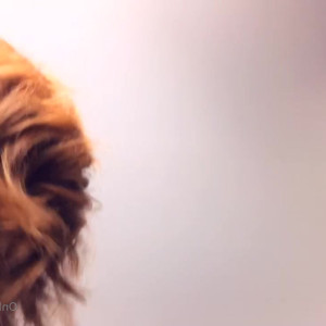 Video by skylarshark published on March 20,2023 02:03:00 - BestThots