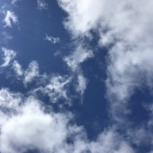 Video by skylarshark published on August 23,2023 18:50:00 - BestThots