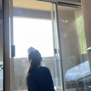 Video by dahliavalentino published on March 16,2023 12:34:00 - BestThots