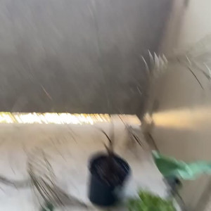 Video by dahliavalentino published on April 14,2023 08:19:00 - BestThots