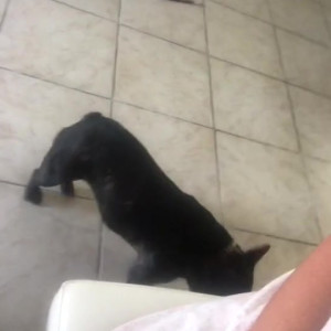 Video by richelleryan published on August 20,2023 03:34:00 - BestThots