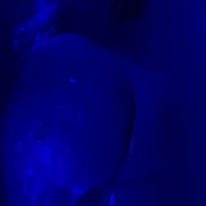 Video by supergummiegirlycami published on May 21,2023 05:51:00 - BestThots