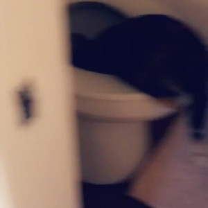 Video by mishler published on April 3,2023 09:04:00 - BestThots