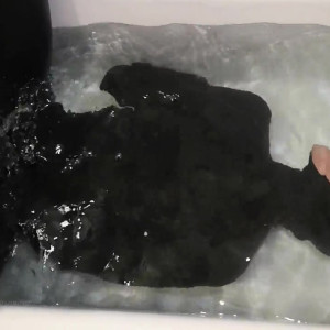 Video by vickydevika published on March 6,2023 03:40:00 - BestThots