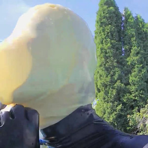 Video by vickydevika published on April 30,2023 12:00:00 - BestThots