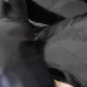 Video by vickydevika published on July 18,2023 07:35:00 - BestThots
