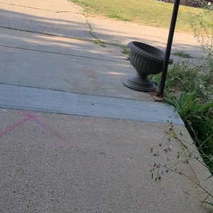 Video by missarcanaplus published on March 14,2023 21:26:00 - BestThots