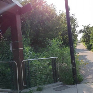 Video by missarcanaplus published on July 27,2023 07:26:00 - BestThots