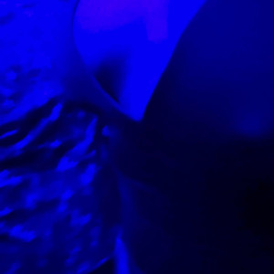 pandorasclit #5767410
