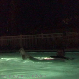 Video by summermarshmallow published on May 6,2023 06:13:00 - BestThots