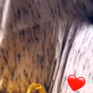 Video by mcjigglezzz published on April 11,2023 20:16:00 - BestThots