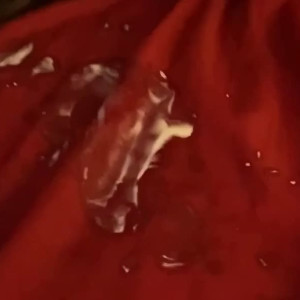 Video by hennysgummies published on June 28,2023 15:27:00 - BestThots