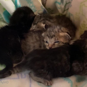 Video by mollymaeve published on July 16,2023 14:08:00 - BestThots