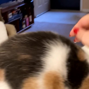 Video by mollymaeve published on August 9,2023 13:28:00 - BestThots