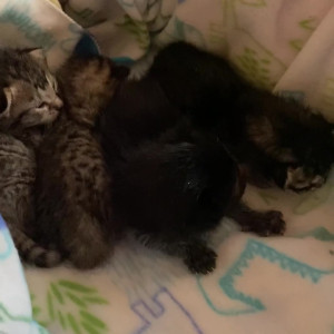 Video by mollymaeve published on July 13,2023 11:06:00 - BestThots