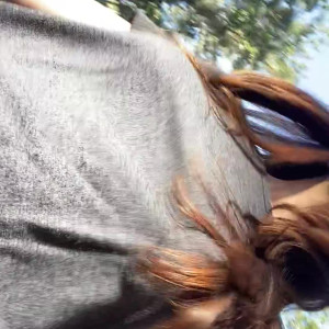 Video by mollymaeve published on July 2,2023 00:50:00 - BestThots