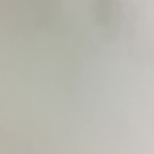 Video by tessafowler published on April 29,2023 13:27:00 - BestThots