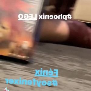 soyfenixer #4061062