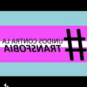 soyfenixer #4175945