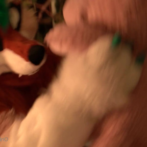 furry_foxxy #5785001