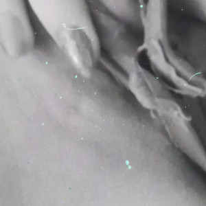 Video by little_bee published on August 22,2023 20:59:55 - BestThots