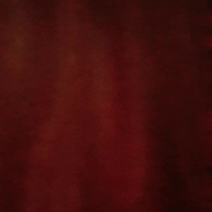 Video by little_bee published on August 22,2023 21:00:53 - BestThots