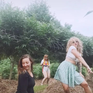 danceincannabis #4710906