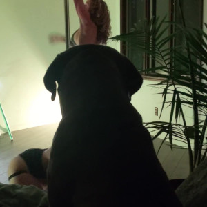 danceincannabis #4797896