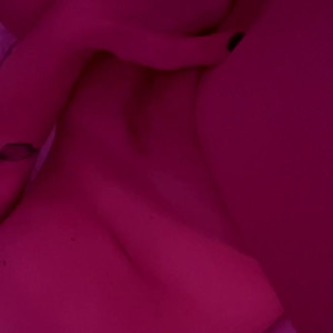 sexxysavv #5316034
