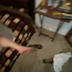 Video by sanders_sofia published on March 16,2023 01:35:00 - BestThots