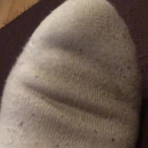 sweatysockq #3511381