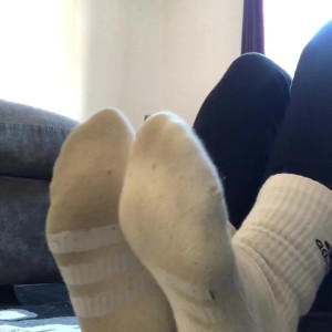 sweatysockq #3511415