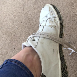 sweatysockq #3511456