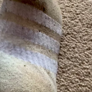 sweatysockq #3511463