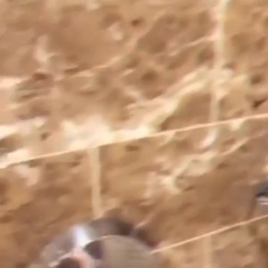 Video by daizhamorgann published on May 4,2023 21:39:00 - BestThots