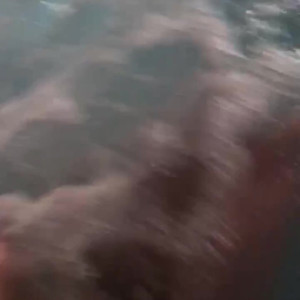 Video by daizhamorgann published on March 10,2023 14:33:00 - BestThots