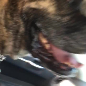 Video by daizhamorgann published on May 25,2023 12:24:00 - BestThots