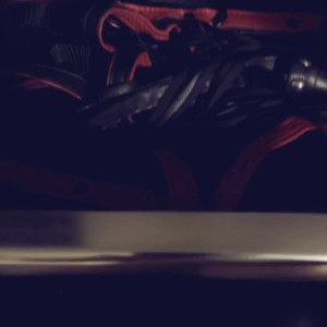 Video by daizhamorgann published on June 2,2023 23:07:00 - BestThots