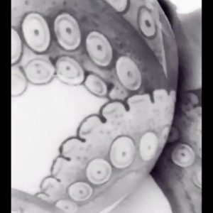 Video by daizhamorgann published on May 20,2023 05:09:00 - BestThots