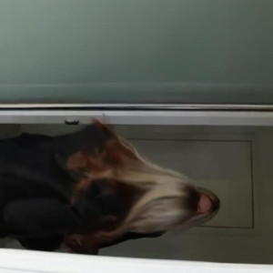 Video by aileentaylorofficial published on July 6,2023 07:54:00 - BestThots
