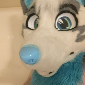 ad_dragonwolf #8399149