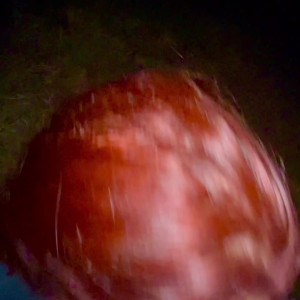 jesswheeler #5500814