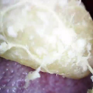 Video by vorequeen published on April 24,2023 05:36:00 - BestThots