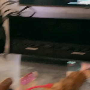 Video by veronicaperasso published on July 2,2023 16:13:00 - BestThots