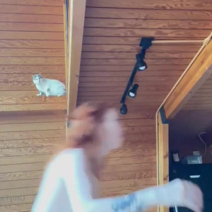 madicollinsxo #5700976