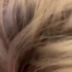 ellenblondexxx #4391299