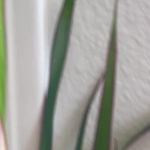 Video by misskenzieanne published on April 18,2023 18:44:00 - BestThots